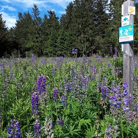 Apartamento Gipfelfreund 1 *