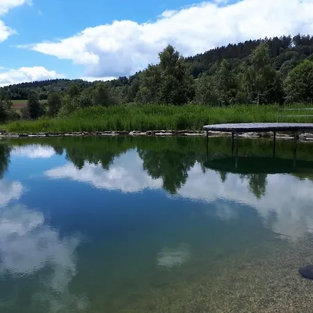 Gipfelfreund 1 *